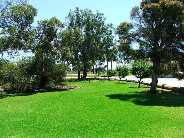 Lazy River Motor Inn Swan Hill Kültér fotó